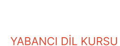 Sancaktepe Amerikanca Kültür Logosu