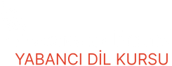 Amerikan Kültür Sancaktepe Logo